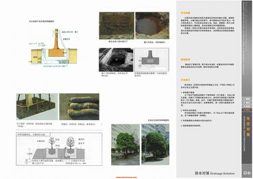 探尋現代與自然的交融 上海江南廣場景觀設計解析